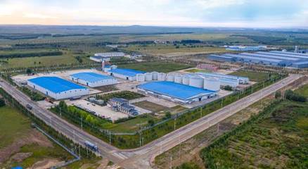 恒大糧油榮獲“深圳市重點農業龍頭企業”稱號，加碼布局優質蔬菜產業